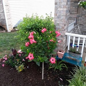 Meet your Posher, Alice